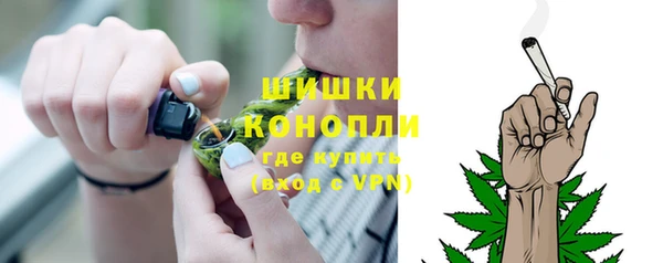 твердый Иннополис