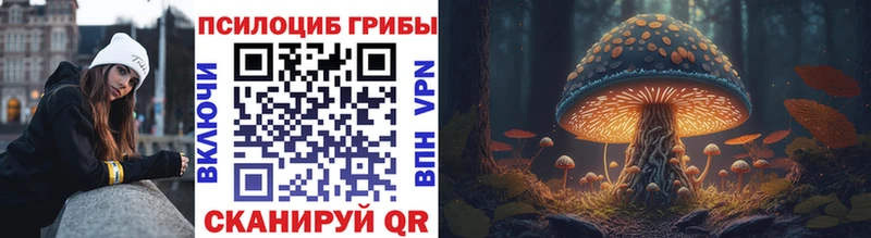 Псилоцибиновые грибы мицелий  Купить  Иннополис 